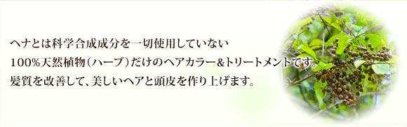 ヘナとは科学合成成分を一切使用していない100%天然植物（ハーブ）だけのヘアカラー＆トリートメントです。髪質を改善して、美しいヘアと頭皮を作り上げます。